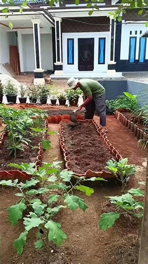 Healthy soil = strong plants, Restore soil quality with Recovery Soil