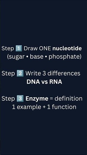 Study DNA & enzymes smartly. These steps actually work. #neet #biology #shorts