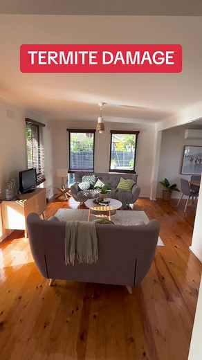 Identifying Termite Damage in Pre-Purchase Building Inspection