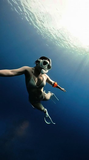 宮古島での最高のダイビング体験🧜🏻‍♀️