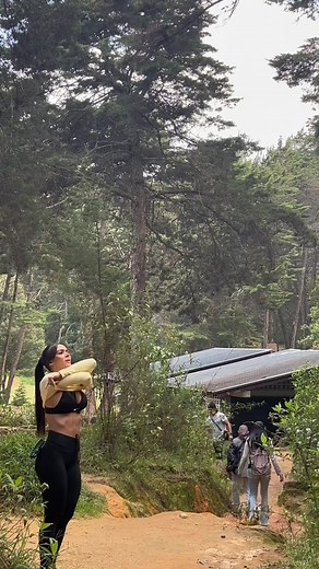 Outdoor Stretching Exercises for Better Flexibility