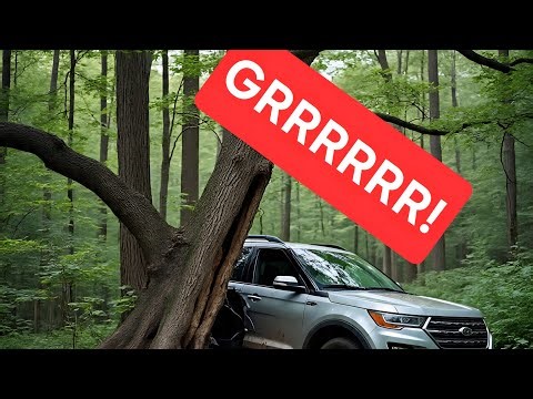 Going Out On A Limb!