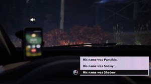 Lost Records: Bloom & Rage Expectations Guide