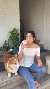40K views · 4.9K reactions | New hobby and goal unlocked: WALKING THE DOG  Looks harder than it is  Kulit ni JAVA!!! Parang workout na rin!!!! @javachipthecorgi Good thing I always got my fave drink with me, Nutriboost. It contains vitamins, zinc, and calcium that gives me the energy I need to keep up with this very makulit dog - of course with proper diet and exercise yan!! Nutriboost is available nationwide and online at https://www.cokebeverages.ph/18-dairy | Gretchen Ho | Facebook