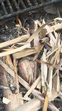 How to Prep a Campfire Part 2 #camplifecomfy #stateparks