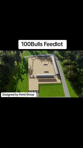 Feedlot design | KIMD Int'l Group Of Companies