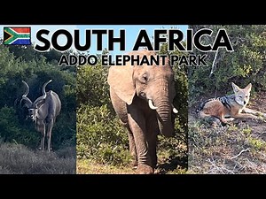 Addo National Park - Where the Elephants Roam, Garden Route, South Africa