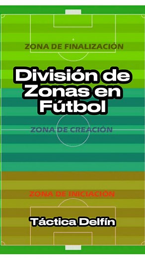 ¿Sabes como se dividide la cancha en zonas? Te muestro dos tipos de divisiones, cada una con diferentes caraterísticas para los jugadores. Conoces otra forma de dividirla?⚽️📚 #futbol #soccer #tacticas #coach #entrenador #football #tacticalpad #analisisfutbol #entrenamiento #analistafutbol | Táctica Delfín