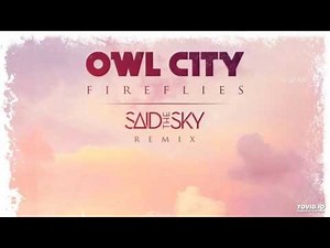 Owl City - Fireflies (Said The Sky Remix)