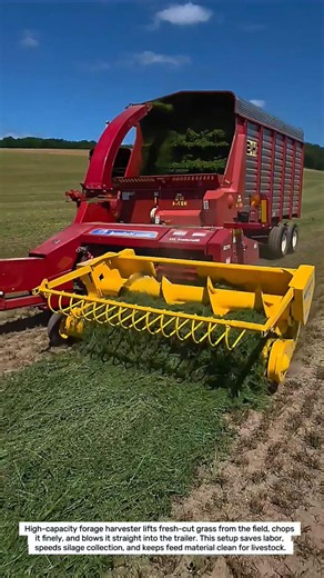 Powerful Forage Harvesting Machine