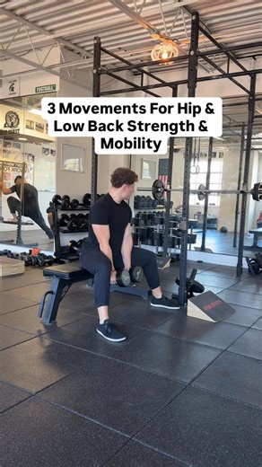 3 Movements For Hip/Low Back Strength & Mobility - Seated GM - L-Sit - Standing RDL to Back Extension These movements are staples for developing better mobility as an athlete, but also building a strong frontside & backside for speed & jumping. | Mucci Strength