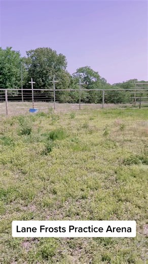 Lane Frost's Journey: Training for Bull Riding Success