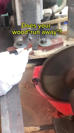 Half Cut Experiment: Finding the Farthest Fly