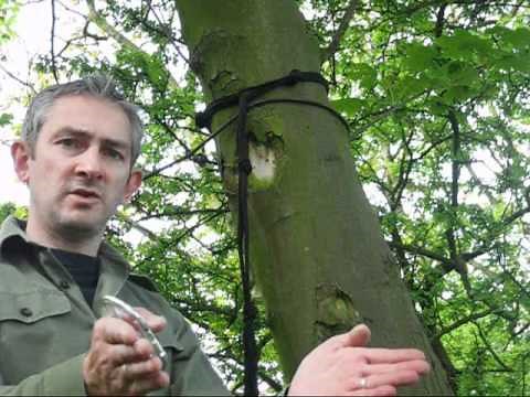 Bushcraft - Bungee Tarp Setup & String Hammock Techniques