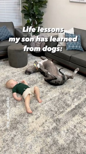 237K views · 6K reactions | I could go on forever with how many life lessons kids learn from dogs 殺 And that is not chocolate he’s sharing btw 﫶#lifelessons #doglovers #kidswithdogs #kidsanddogs #babyanddog #dogtraining #dogbodylanguage #mansbestfriend #babysbestfriend #babylove❤️ #babylaugh #momlife | the_oakie_dokie | Facebook