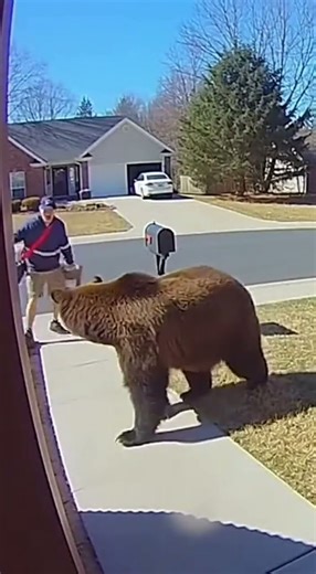 Mailman’s Run-In with Bear Cub!
