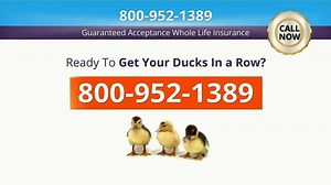 TZ Insurance Solutions TV Spot, 'Protecting Your Nest'