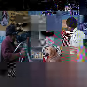 Ring Master Movie Scene | Dileep | Keerthy Suresh | Honey Rose | Vijayaraghavan | Kalabhavan Shajohn | Suraj Venjaramoodu | API Malayalam Comedy | Facebook