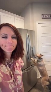 1K views | This one-year-old red heeler, Lainey Wilson, taught herself how to get ice out of the refrigerator. Consequently, she was seen eating ice right out of it. She cleverly figured out the exact duration needed to hold the button in order to release the ice into her waiting mouth. | Jukin Copyright Management | Facebook