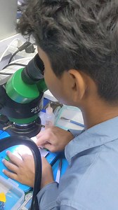 বয়স মাত্র ১৫ বছর। এ বয়সে phone এর IC reballing করছে। আলহামদুলিল্লাহ । আপনার সন্তানকে ভাল কাজে উৎসাহ দিন।.. কোর্সের বিষয়ে বিস্তারিত জানতে কমেন্ট করুন #Poco #NewCPU #Reball #Pocox3 #Pocox3pro #dead #cpuproblem | Mobile Repair Solution