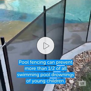 3K views · 21 reactions |  A pool fence is one of the most important...
