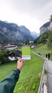 PANTONE 16-0230 Macaw Green is nature’s show-off. Bold, vibrant, and impossible to ignore. A splash of energy and elegance in equal measure.🌿 | Pantone