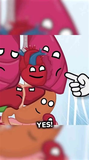 My body's secrets revealed in animation!