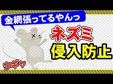 【ネズミ対策】ネズミを駆除するのではなく、侵入を防止する網があります。使い方を詳しくご紹介しています。参考にしてみてください！！