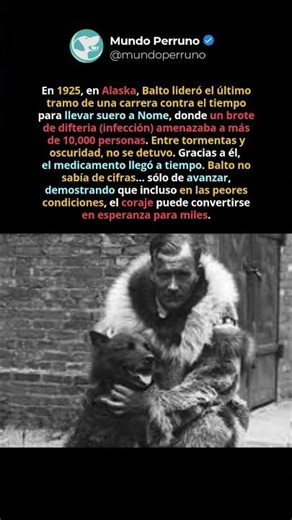Balto: El perro que salvó a miles de personas 🤯