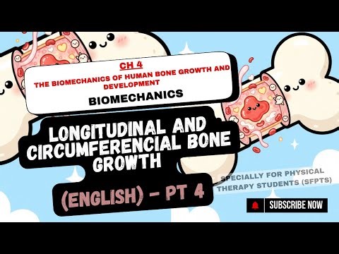 Longitudinal and circumferencial bone growth | CH#4 | Biomechanics | EXAM REVIEW | PT 4 | English