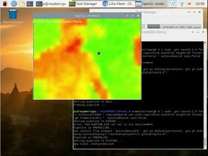 Raspberry 4 2GB and Thermal camera