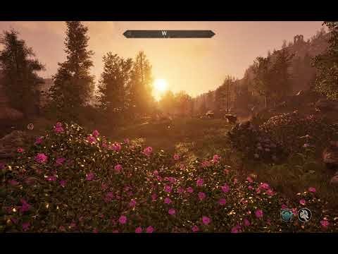 A showcase of bad behaviors.