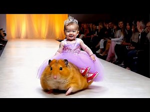 Adorable Babies Steal the Show in Elegant Fashion Runway