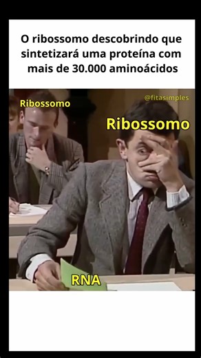 Professor Aclerton Pinheiro | Fisiologia e Bioquímica on Instagram: "Rapaz… quando eu bati o olho nesse mRNA, o tal do RNA mensageiro, e vi que a ORF, o quadro de leitura aberto, não acabava nunca, eu já senti o peptidil-tRNA suar frio. Normalmente meu trabalho é organizado: reconheço o códon de início, encaixo direitinho minhas subunidades, organizo os sítios A, onde entra o aminoácido, P, onde a cadeia cresce, e E, por onde o tRNA descarregado sai, e sigo alongando a proteína aminoácido por am