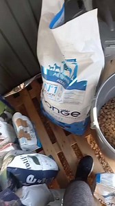 18 reactions · 21 shares |  #AIUTO #CIBO  Per Nonna Lina e Febe che dovrà perdere peso per il problema all anca e alla zampa .. che vi abbiamo spiegato in pagina .. RAGA" OVVIAMENTE CI SONO ANCHE LE SACCHETTA PICCOLE.. COSI CHIUNQUE POTRÀ DONARE IN BASE ALLE PROPRIE POSSIBILITÀ  SPEDIZIONI E PUNTO RACCOLTA BAR IL BUONGUSTAIO VIA ANNIBALE MARIA DI FRANCIA 14/D Trani cap 76125 ( BT) | La zampa sul cuore Trani | Facebook