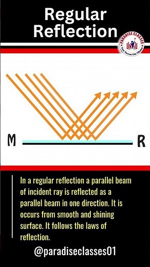 How Plane Mirrors Reflect Light: Regular Reflection Explained! | Paradise classes