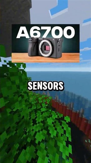 Full Frame Cameras Are NOT Worth It !