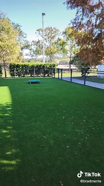 Brand new astro turf dog park... day 1.