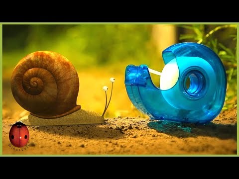 The Vegetable Garden | Minuscule 🍃 50' Compilation