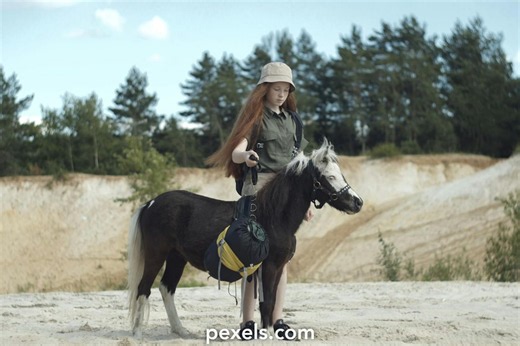 Best Horse+creampie+girl+4k Videos