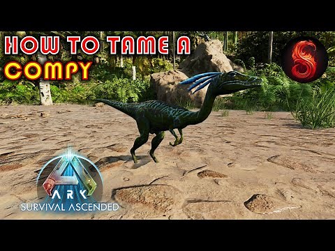 ARK SURVIVAL ASCENDED HOW TO TAME A COMPY