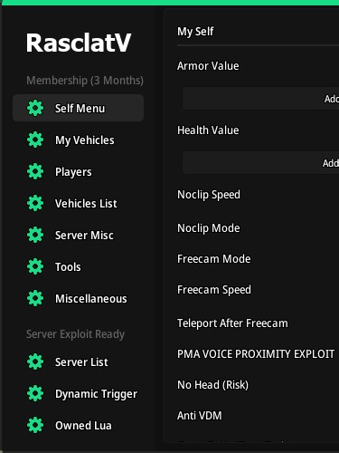Lua Injection Showcase #fivem #fivemroleplay #fivemrp #fiveminutecrafts #fivemgta