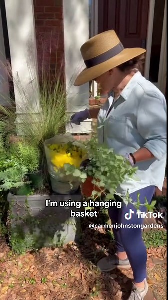 Top Fall Plants for Your Garden Mix