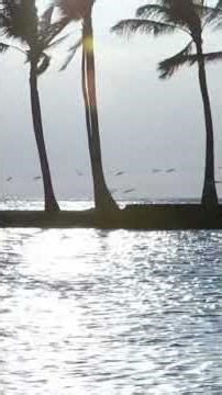 Windy Seashore Sounds for Deep Relaxation