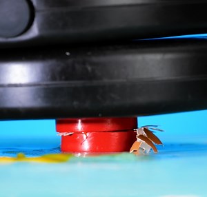 14K views · 51 reactions | Fun Science Experiments That Defy Logic! | 5-Minute Crafts Teens | Facebook