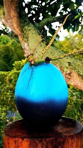 Have you ever seen a coconut this beautiful? 😱🥥 #fyp