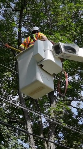 Asplundh Tree Expert, LLC on Instagram: "Ever wonder what Asplundh really does? From utility vegetation management to infrastructure services to storm response, we help keep power flowing safely and reliably. ⚡️ #AsplundhStrong #PoweringCommunities #UtilityWork #SafetyFirst"