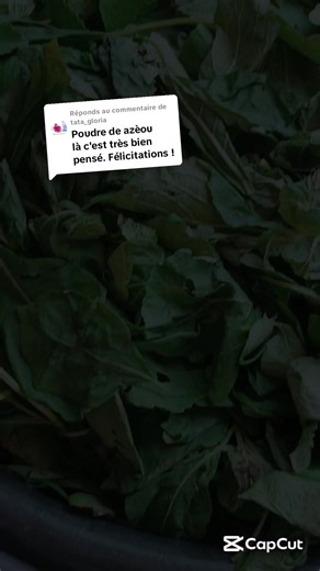 Ets FWG (Épicerie & Céréales) sur TikTok