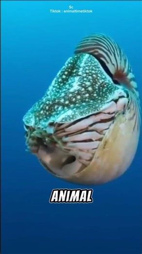 This animal has been around for a long time.