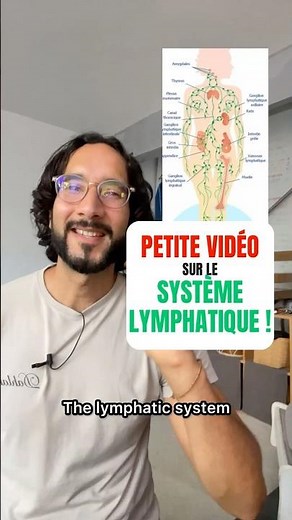 Systeme Lymphatique petite vidéo !